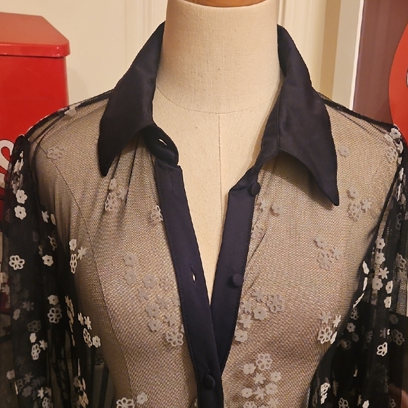 Chic Black Floral Embroidered Long Sleeve Sheer Maxi Dress - Picture 2 of 10